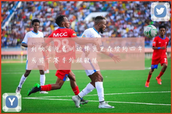 利物浦与青训边锋莫里森续约四年或将下赛季外租锻炼