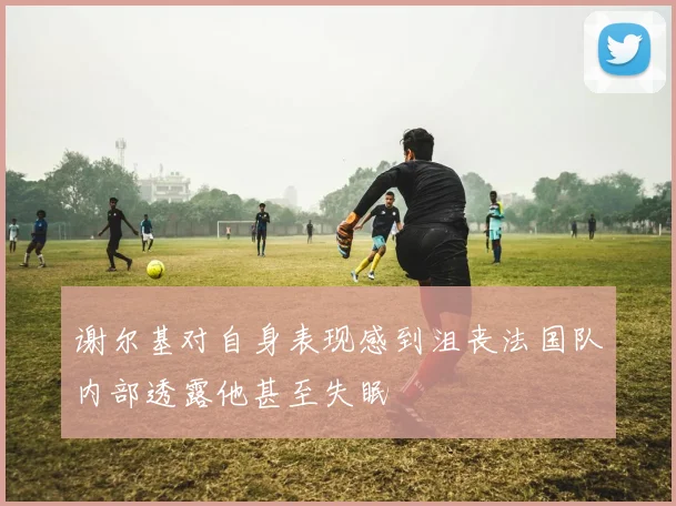 谢尔基对自身表现感到沮丧法国队内部透露他甚至失眠